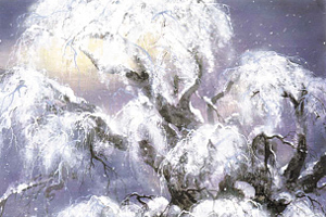 千年雪桜