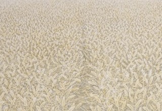 中西 和 「艸」洗い出し 60×150.2cm