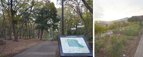 左：神代植物公園入口　右：バラ園で