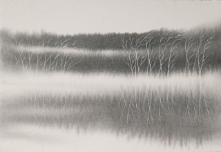 「風のしらべ」墨、胡粉／石州楮紙 20.5×33.8cm