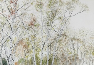 佐々木 理恵子 | 作家 | ギャラリー 桜の木