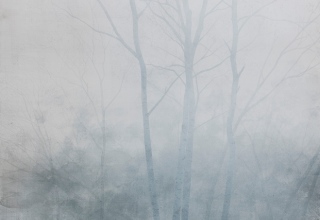 「森へ-霧-」日本画F50号