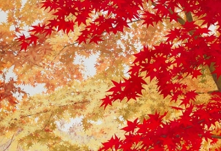 「秋の日」日本画F30号