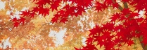 「秋の日」日本画30号