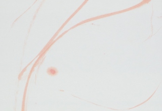 「丹秀ひ」朱墨・本画仙　137×34.5㎝