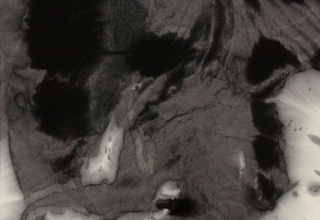 「在」墨・亀紋宣 35.2×43.4cm