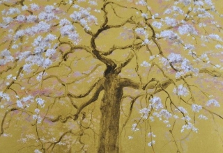 小倉亜矢子「さくら 樹下にて」日本画 10号