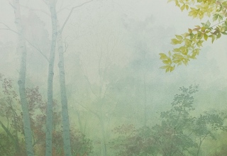 佐々木理恵子「森へ－霧Ⅱ」　日本画25号