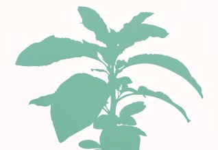阪本トクロウ「草木」アクリル／高知麻紙 30×30cm