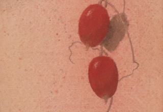 中西和「秋色」30×15