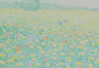 「野辺の蝶」洗い出し 40×40cm