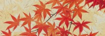 佐々木理恵子「秋の色Ⅰ」日本画 35×70cm