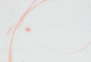 「丹秀ひ」朱墨／本画仙  137×34.5cm