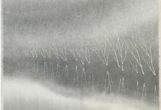 「月のゆりふね」墨 22×21.5cm