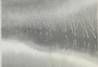 田中みぎわ展　沈黙の降る夜、耳を澄ませて