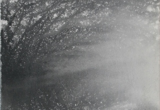 「光のしずく 梢をみたして」墨 22.7×15.8cm