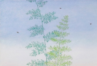 コレクタブル コレクション 展