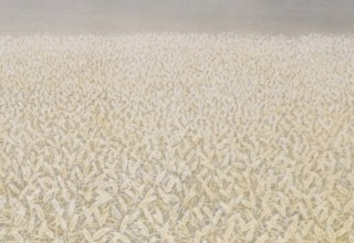 「艸」洗い出し 60×150.2cm 2015年制作