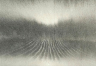 田中みぎわ「望郷のこころ」墨、胡粉/悠久紙 27×27cm