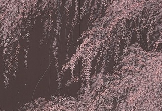 千住博　「月下の夜桜」　日本画　H72.7ｘW181.9cm