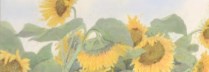 中西和　「向日葵」　洗い出し　92×50