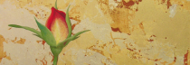 佐々木理恵子　「小さな庭-薔薇の蕾-」　日本画23.5×23.5
